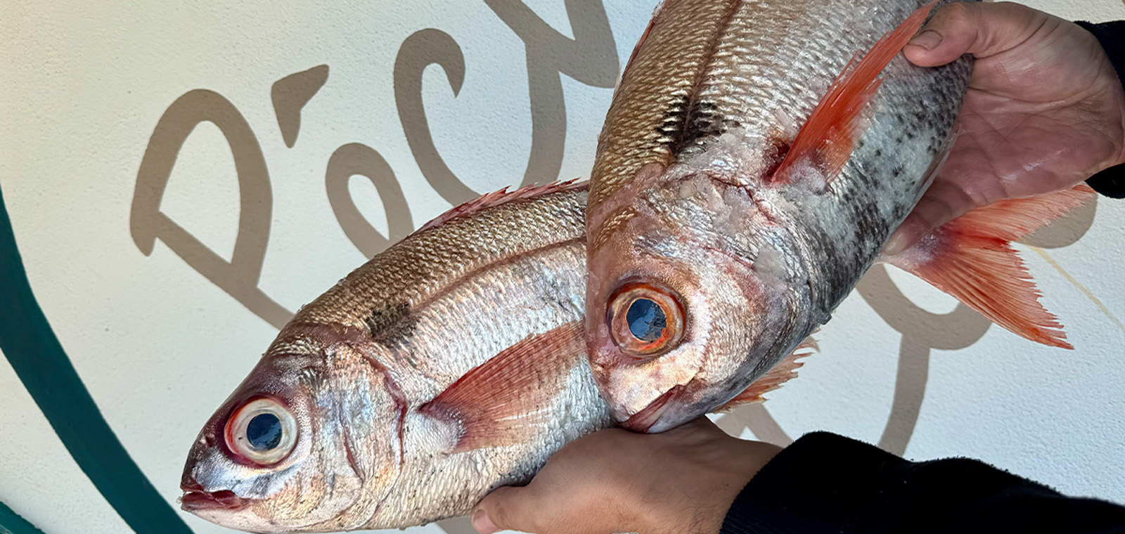 Poissonnerie du Circé